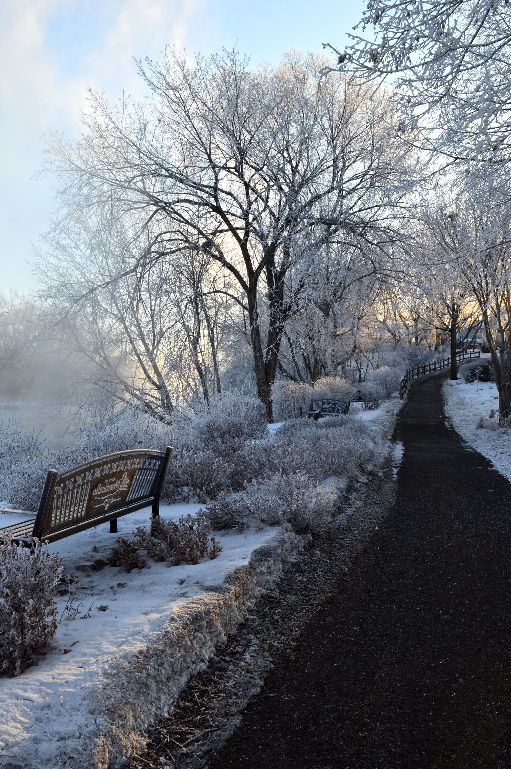 East Bridge Tree Path