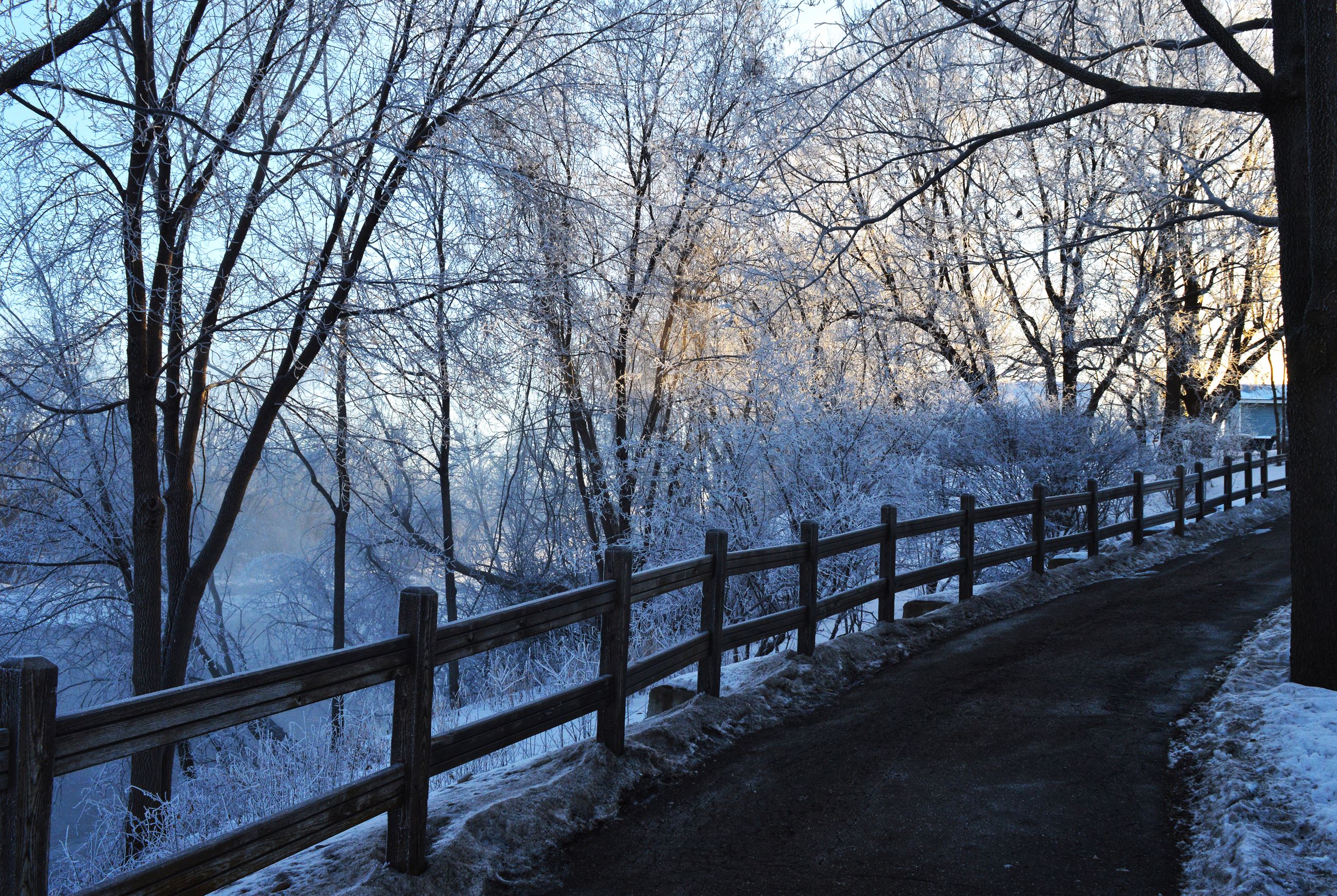 Foggy River - East Bridge Park