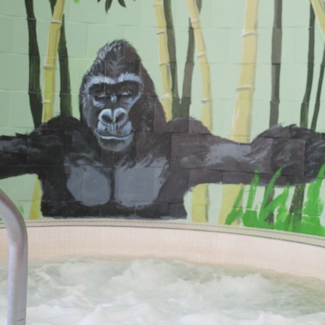 Gorilla mural behind spa.